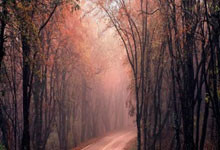 本赛季国王杯半决赛已经打进17球,为历史第四次.