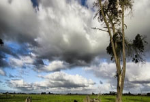 翁泓阳造“3分惨案”，陈雨菲复出后首冠，瑞士赛国羽4冠2亚收官.