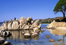 壹号体育：雄狮友谊赛迎战尼泊尔练兵 盼为亚洲杯外围赛增强士气.